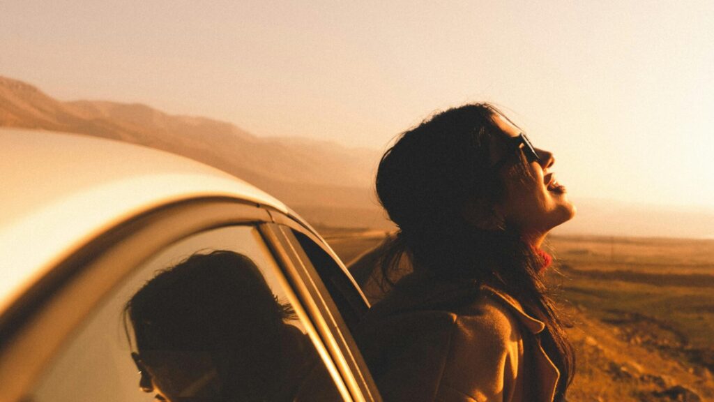 Organiza el interior de tu carro.